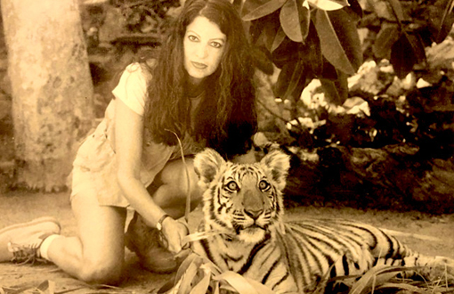 Scarlet with a tiger